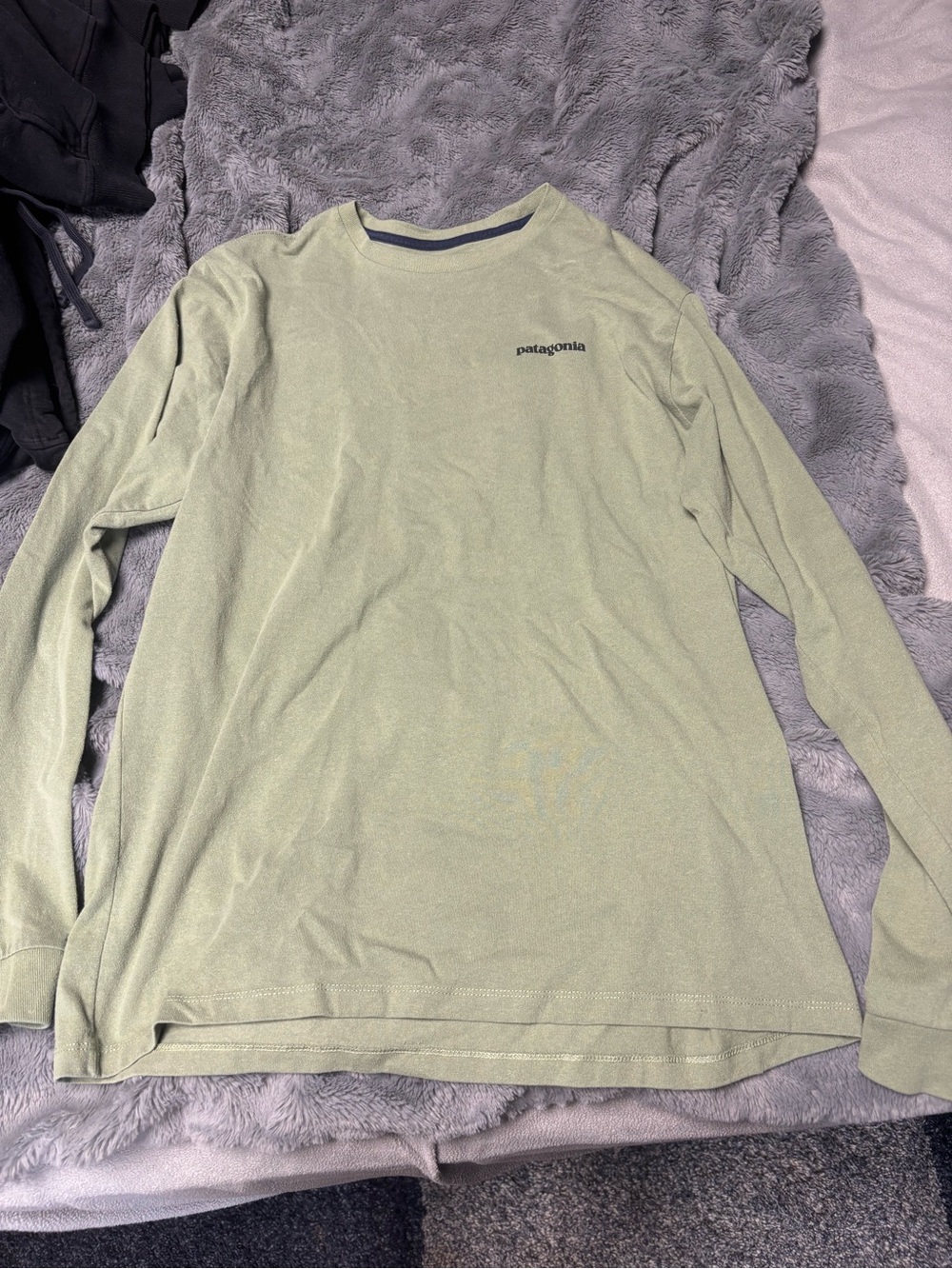 Patagonia Men’s Long-Sleeve Crew Shirt - Light Sage Green